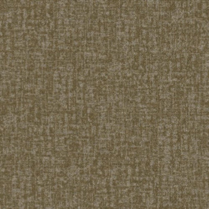 Hardingstone in T0216824e Carpet