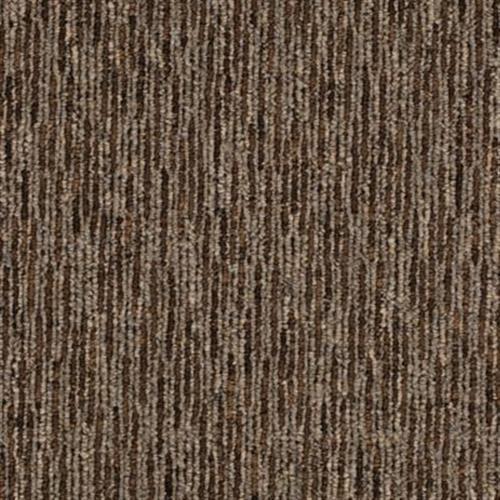 Plaza Point in Metro Market Carpet