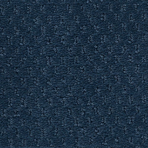 Classic Update in Ink Tone Carpet