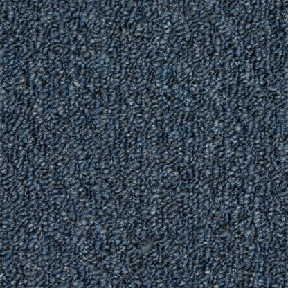 Front & Center in Cobalt Carpet