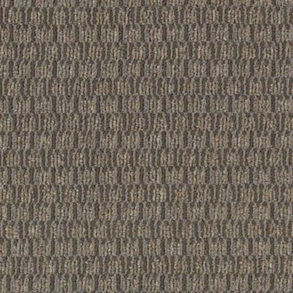 Smart & Sharp in Think Smart Carpet