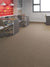 Contemplate in Consider Carpet