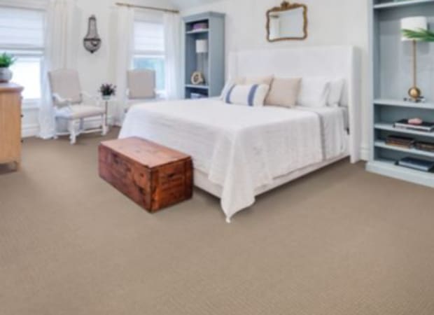 Outstanding Artistry in Lamb's Wool     Carpet