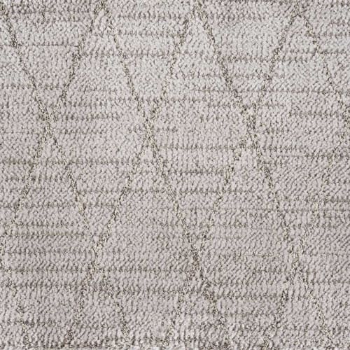 Andes Trellis in Silver Carpet