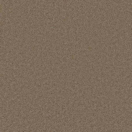 Broadcast in Doeskin Carpet