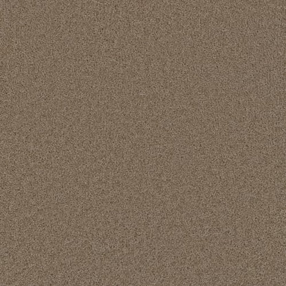 Broadcast in Doeskin Carpet