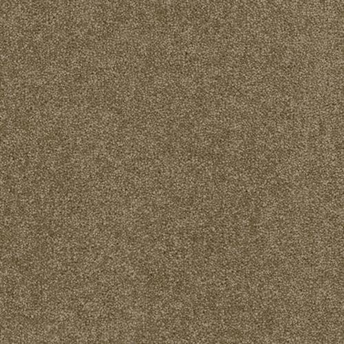 Terrain in Haven Carpet