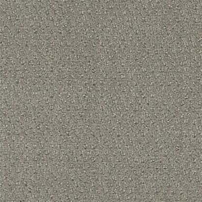 Domain