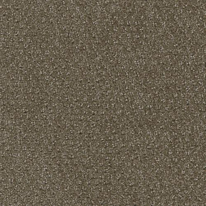 Domain in Habitat Carpet