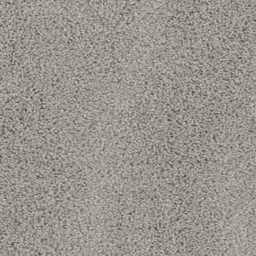 Keystone Plus in Silver Birch Carpet