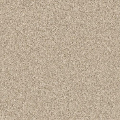 BROADCAST PLUS in Light Bisque Carpet