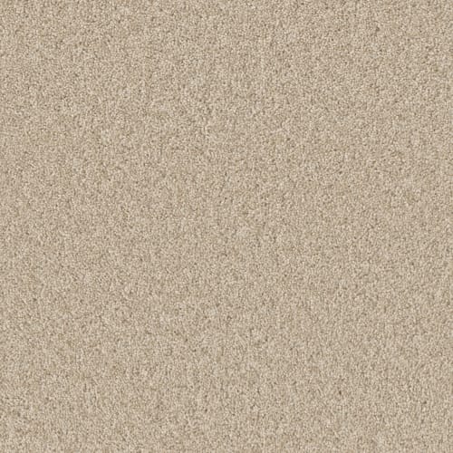 BROADCAST PLUS in Light Bisque Carpet
