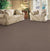 Venice in Eggplant Carpet