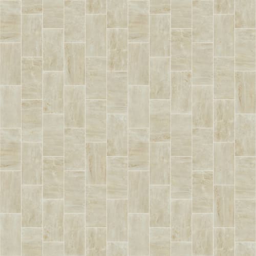 TRACE 12X24 POLISH in Creme Tile