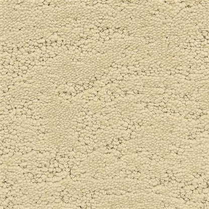 Phenomena in Triumph Carpet