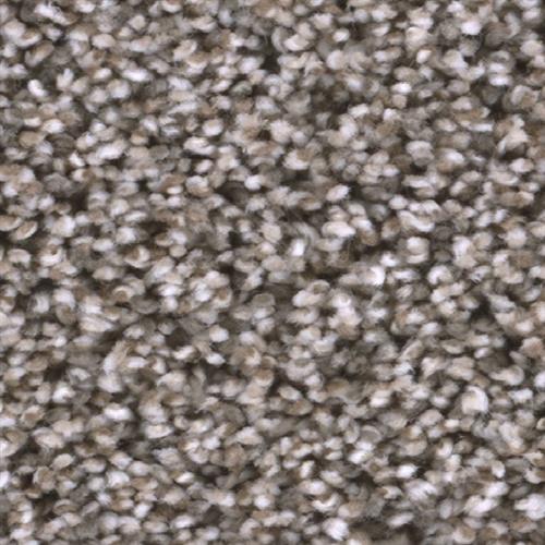 Trendsetter I in Sageview Carpet