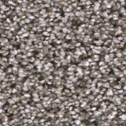 Trendsetter I in Sageview Carpet