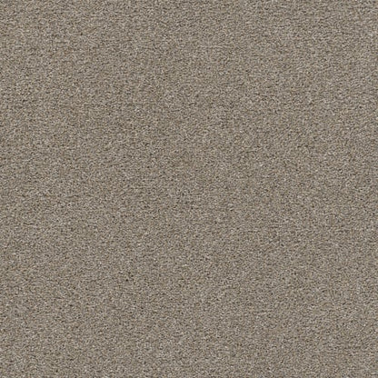 MALIBU III in Oyster Shoal Carpet