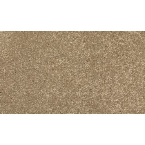 Modern Story II in Turnstone Carpet
