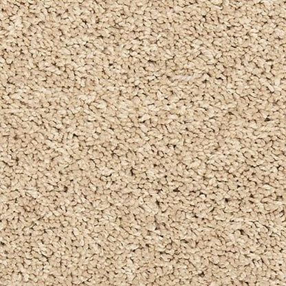Vitalize I in Sugar Cookie Carpet