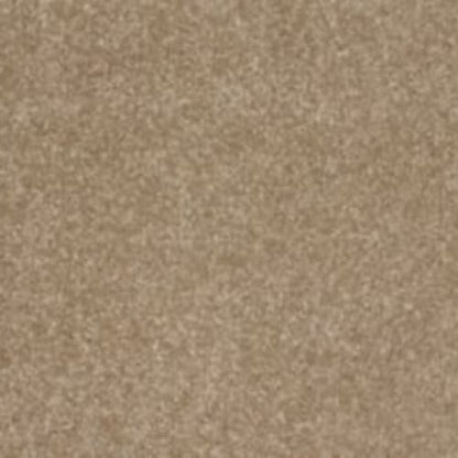 Refined Saga I in Pale Birch Carpet
