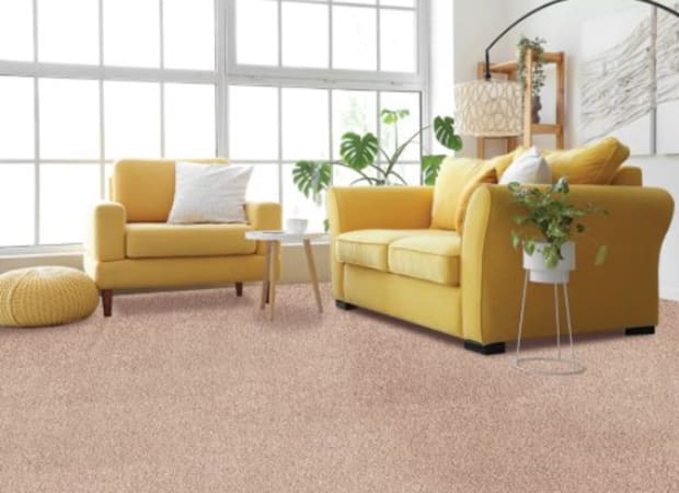 Natural Selection II in Almond Wash Carpet