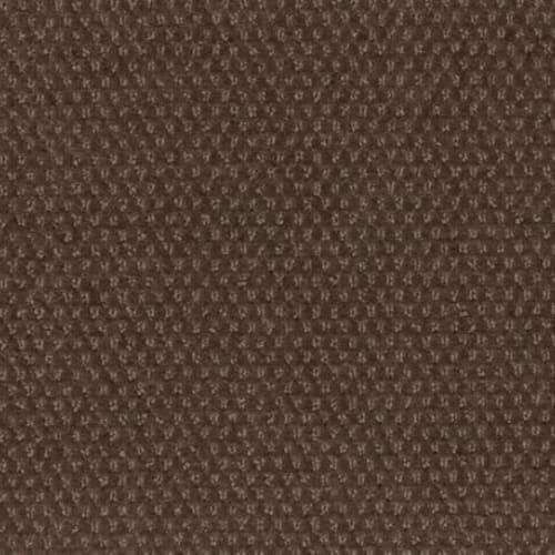Dynamic Momentum in Motion Carpet
