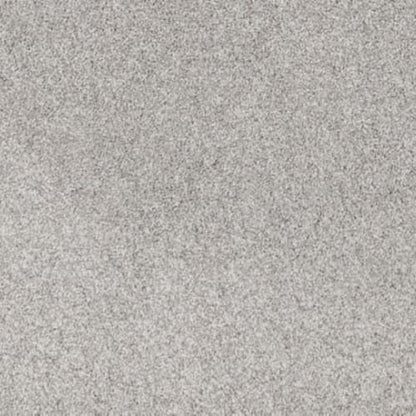 Canine Comfort in Mercury Carpet