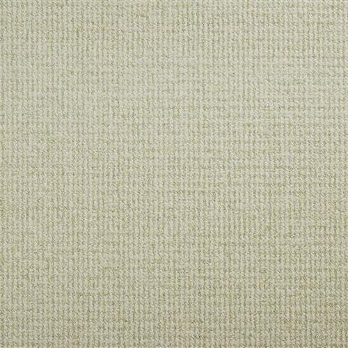 Pacific Tweed in Pactw Meadow Carpet