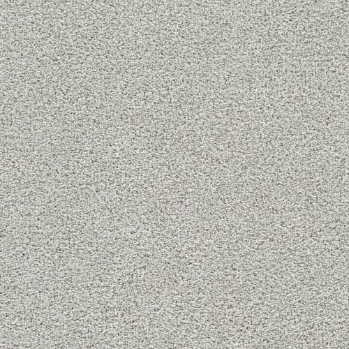 Lucky Penny II in Kenbrook Carpet