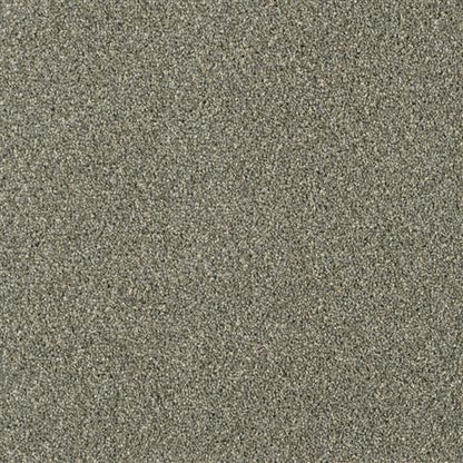 Yellowstone in smooth Sailing Carpet