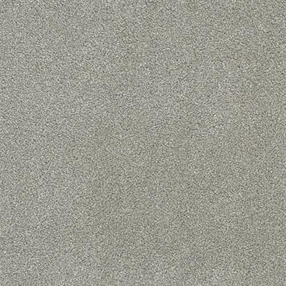 Rock Solid III in Dove Carpet