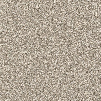CAN'T MISS in Seashells Carpet