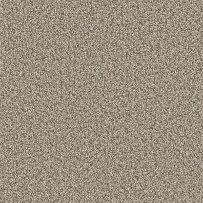 Dazzling in Oxford Carpet