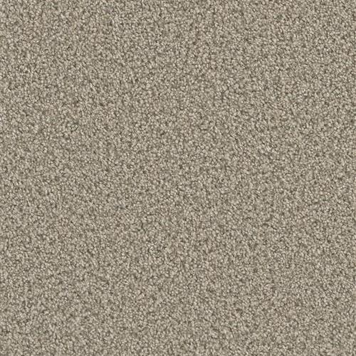 Dazzling in Oxford Carpet