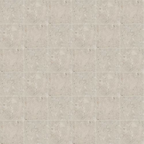 EXTERIOR NOTION 24X24 in Avorio Tile