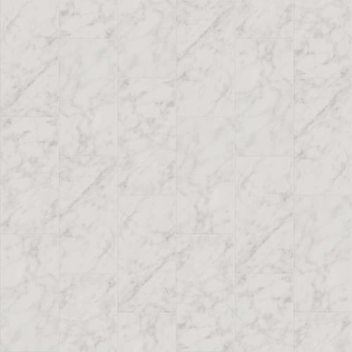 PRIME AURA 12X24 MATTE in Carrara Abisso Tile