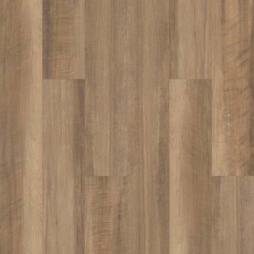 PARAMOUNT 512C PLUS in Tawny Oak