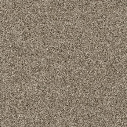 Clear Skies III in Warm Teak Carpet