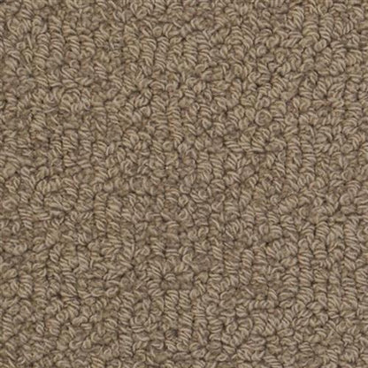 Savant in Mind Carpet