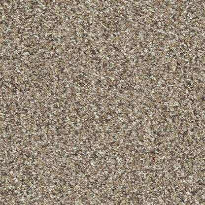 Toast of the Town in Briarwood Carpet