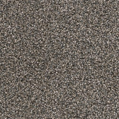 Reflections I in Imperial Sable Carpet