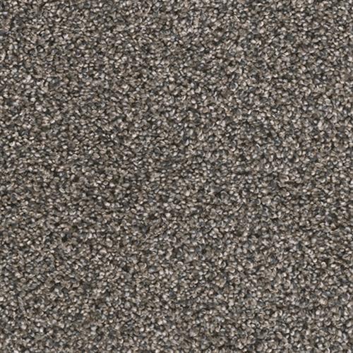 Reflections I in Imperial Sable Carpet