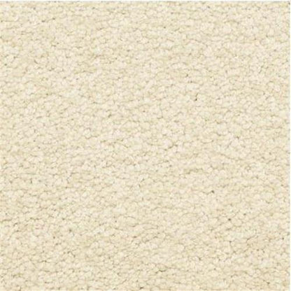 Cassina in Sugar Cookie Carpet