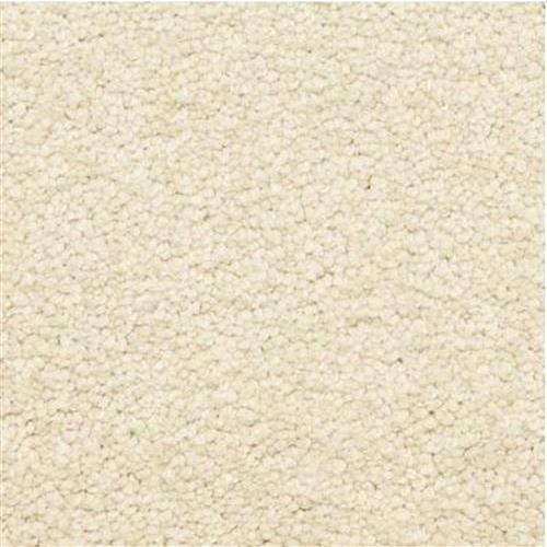 Cassina in Sugar Cookie Carpet