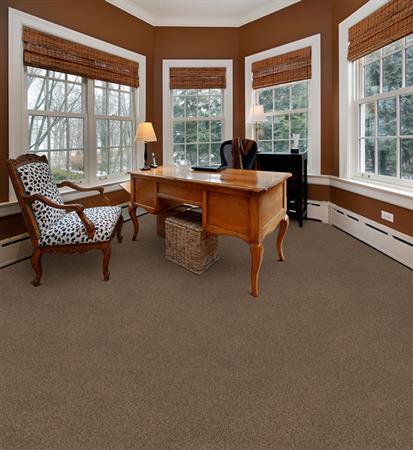Delight