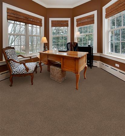 Delight in Suede Carpet
