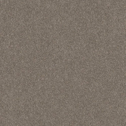 AFTER IT II in Pebble Walk Carpet