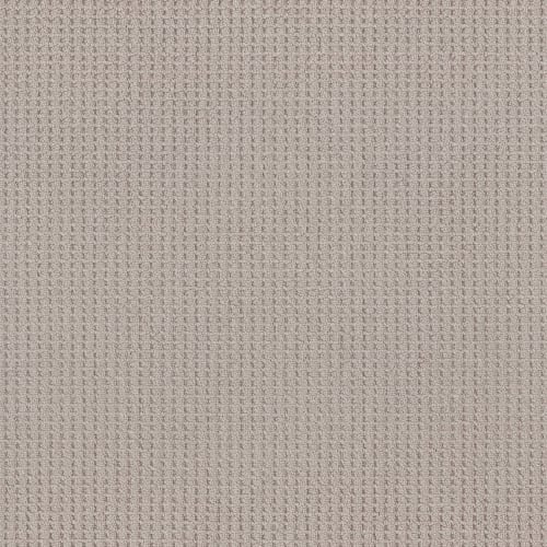 FAINT INTENT in Baltic Stone Carpet