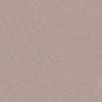 LIVE ON COMFORT in Warm Sand Carpet